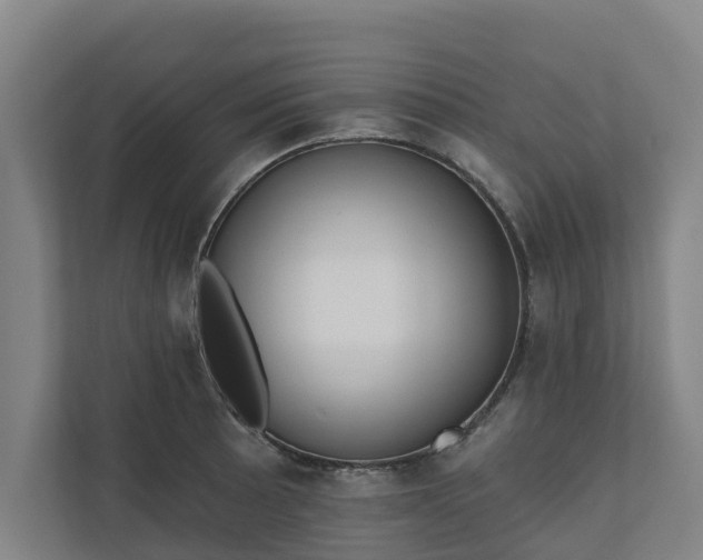 X0000110761089200906221117