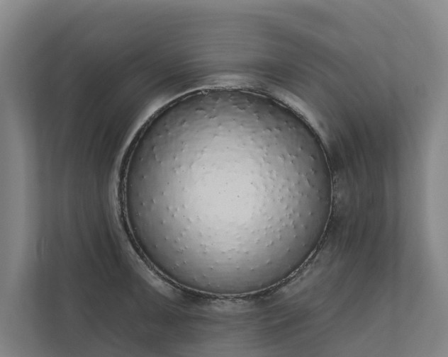 X0000110761091200906221117