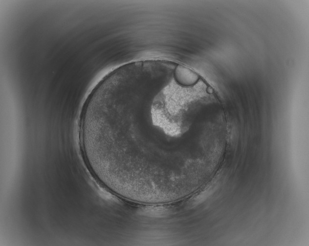 X0000110761094200906221117