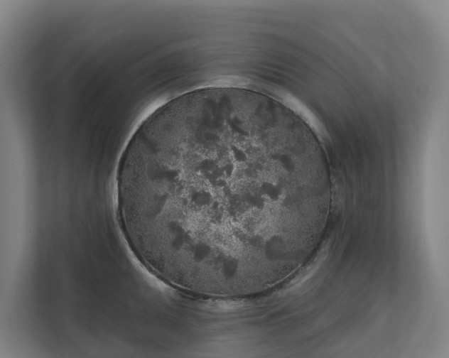 X0000110761095200906221117