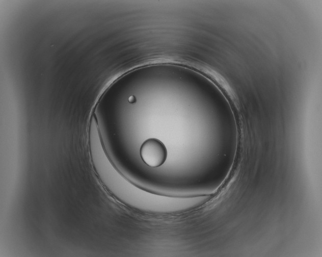 X0000110761097200906221117