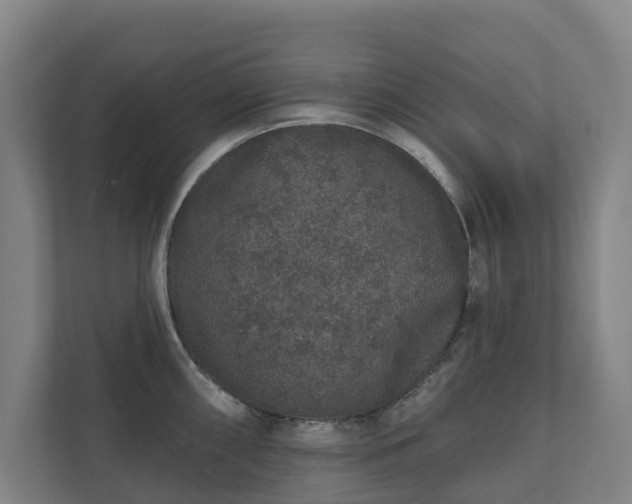 X0000110761098200906221117