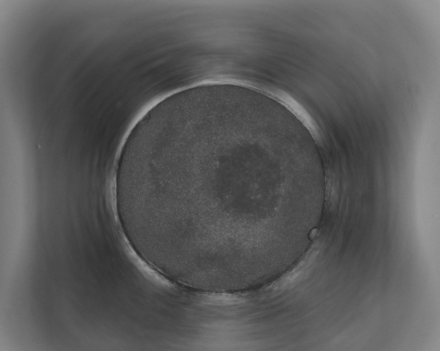 X0000110761100200906221117