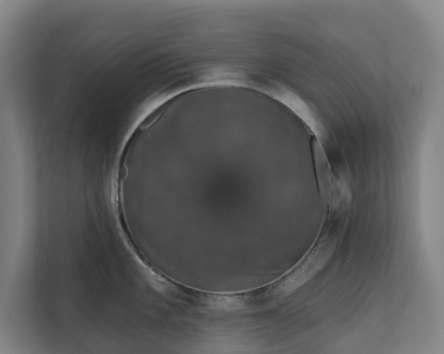 X0000110761101200906221117