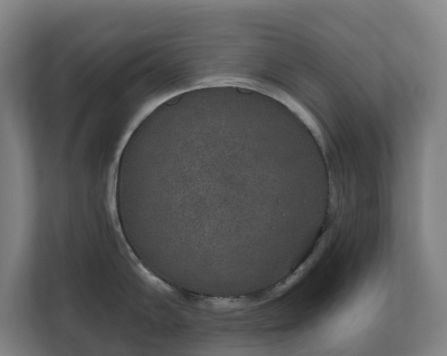 X0000110761102200906221117