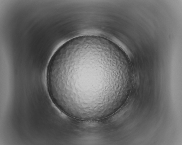 X0000110761103200906221117