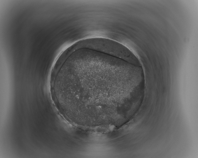 X0000110761104200906221117