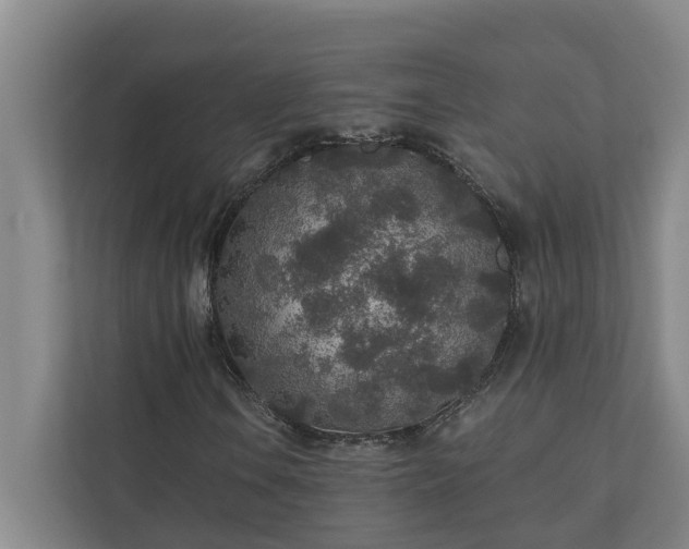 X0000110761106200906221116
