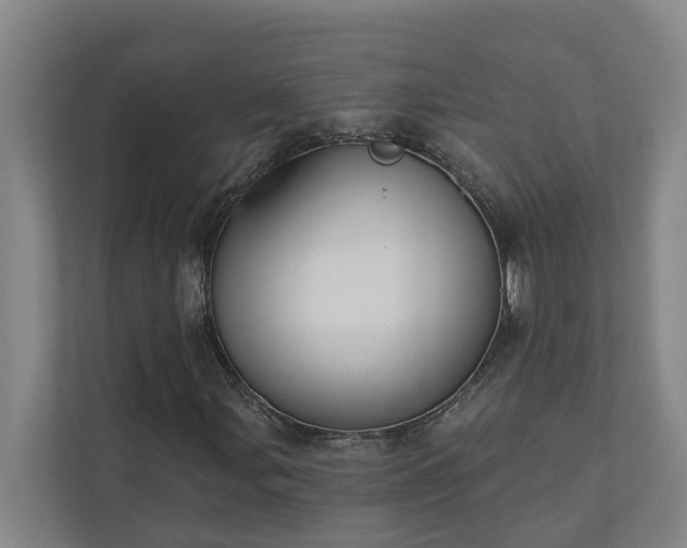 X0000110761107200906221116