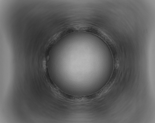 X0000110761108200906221116