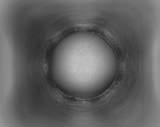 X0000110761109200906221116