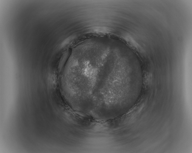 X0000110761110200906221116