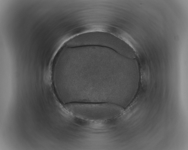 X0000110761116200906221116