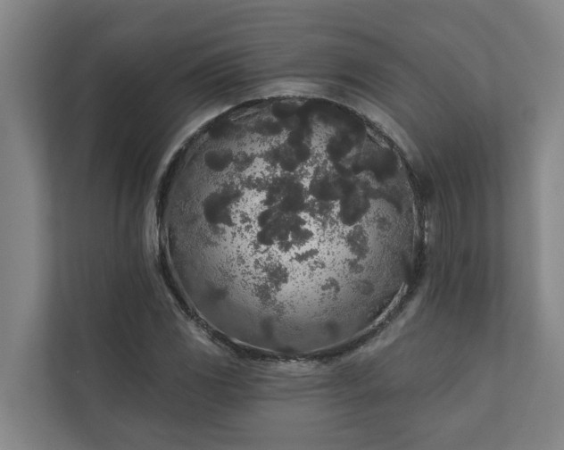 X0000110761117200906221116