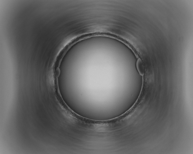 X0000110761118200906221116