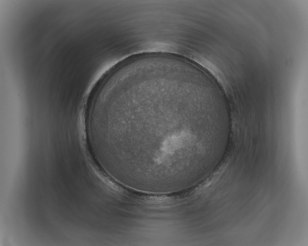 X0000110761120200906221116
