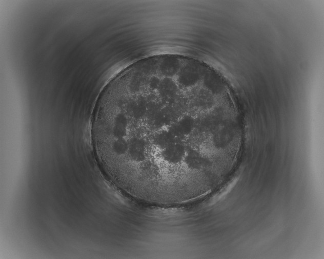 X0000110761121200906221116