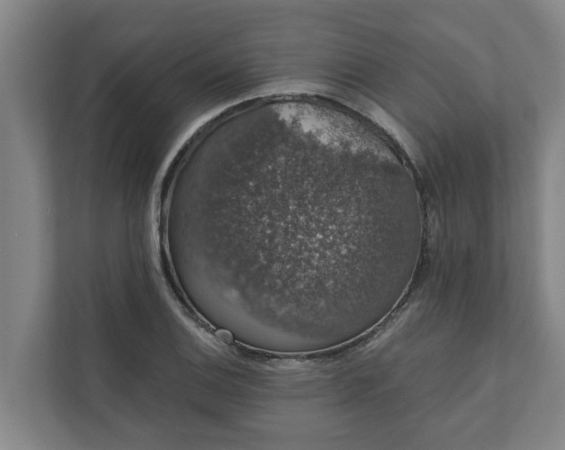 X0000110761124200906221117