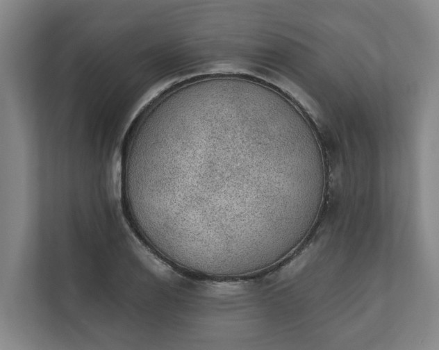 X0000110761126200906221117