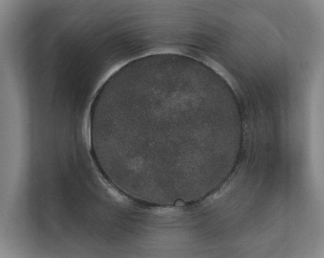 X0000110761127200906221117