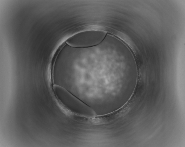 X0000110761128200906221117