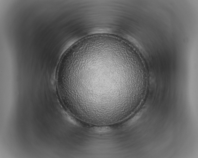 X0000110761129200906221117