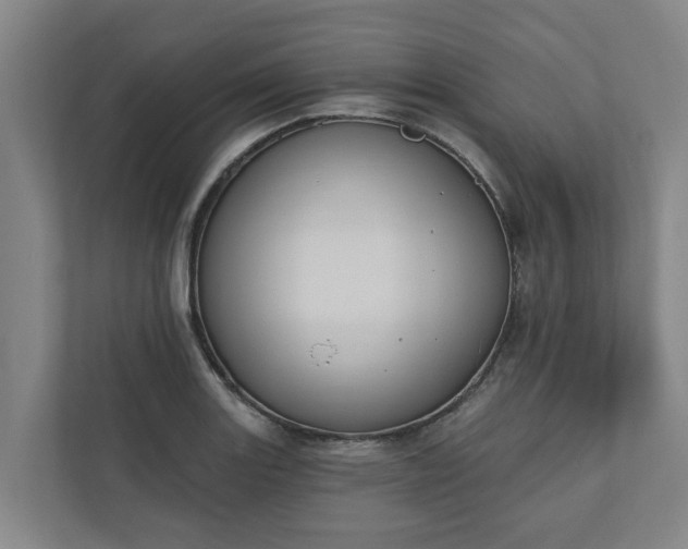 X0000110761131200906221117