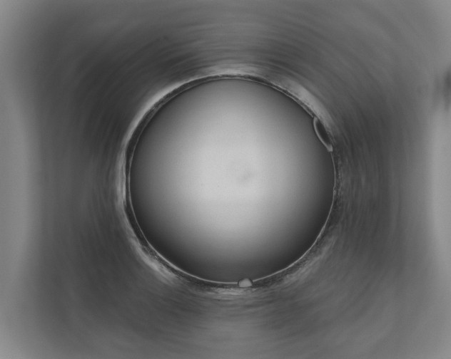 X0000110761132200906221117