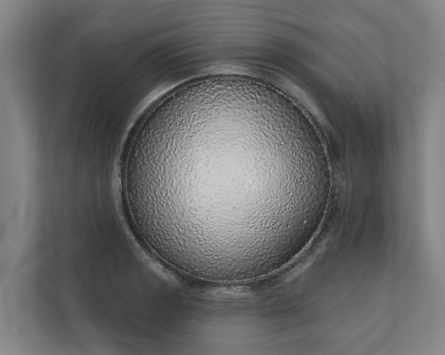 X0000110761133200906221117