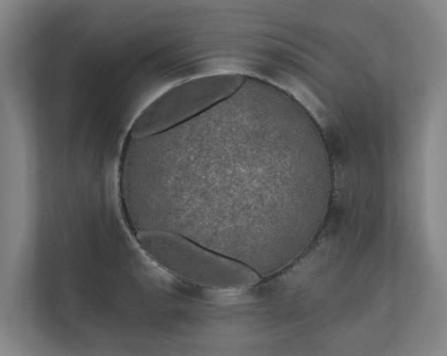 X0000110761134200906221117