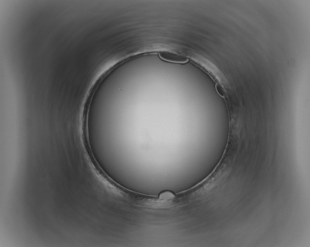 X0000110761135200906221117