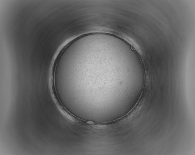 X0000110761136200906221117