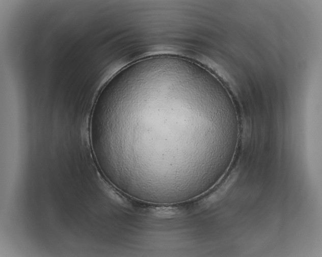 X0000110761137200906221117
