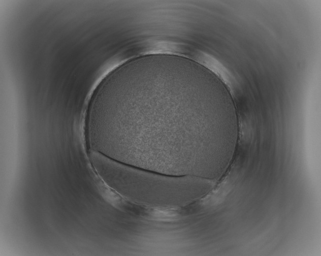 X0000110761138200906221117