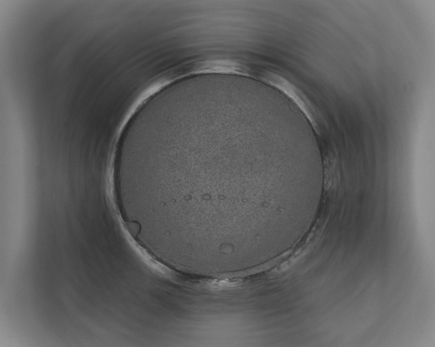 X0000110761139200906221117