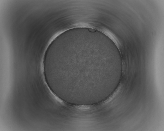 X0000110761141200906221117