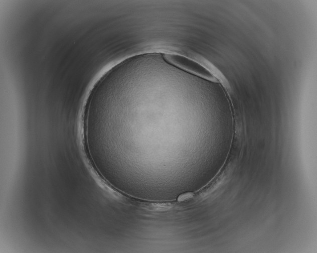 X0000110761144200906221117