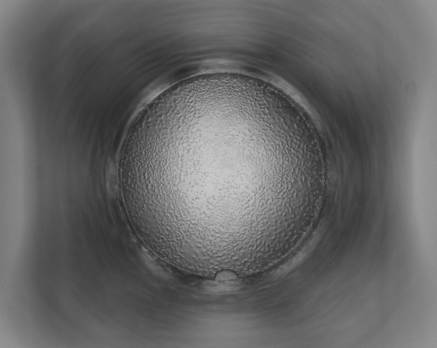 X0000110761145200906221117