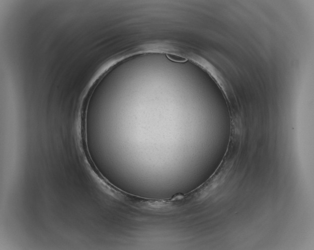 X0000110761147200906221117