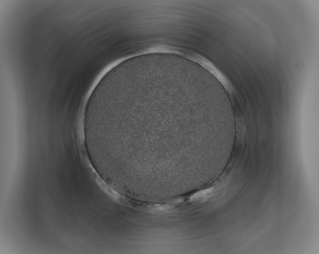 X0000110761148200906221117