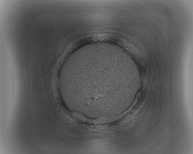 X0000110761153200906221116