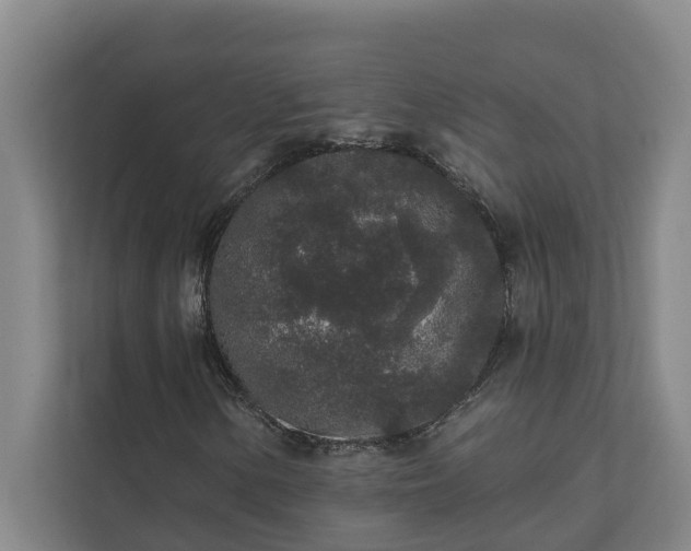 X0000110761154200906221116