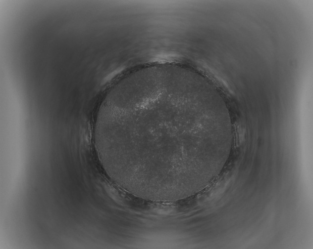 X0000110761158200906221116