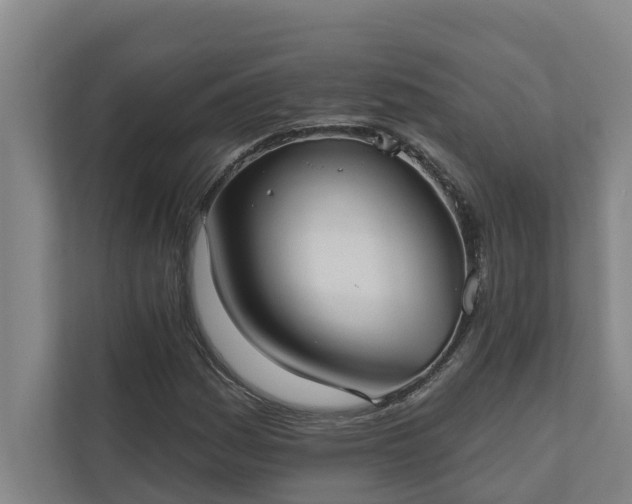 X0000110761161200906221116