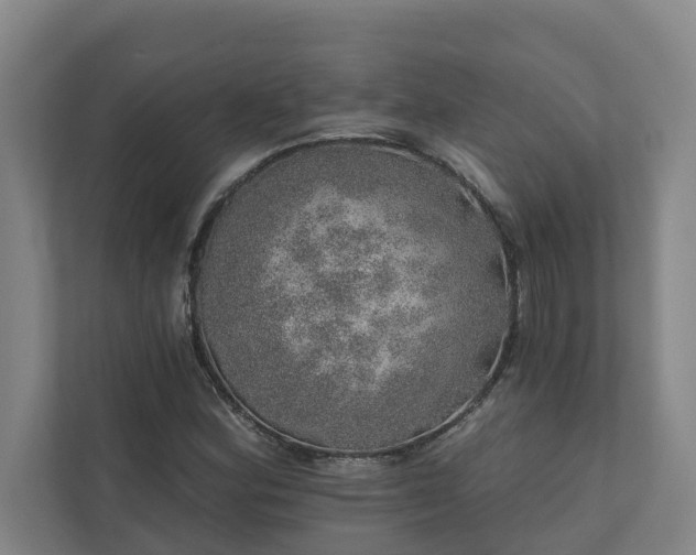 X0000110761164200906221116