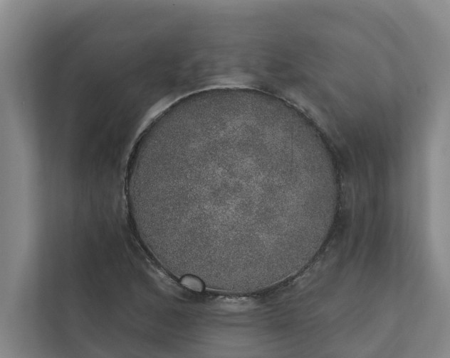 X0000110761168200906221116