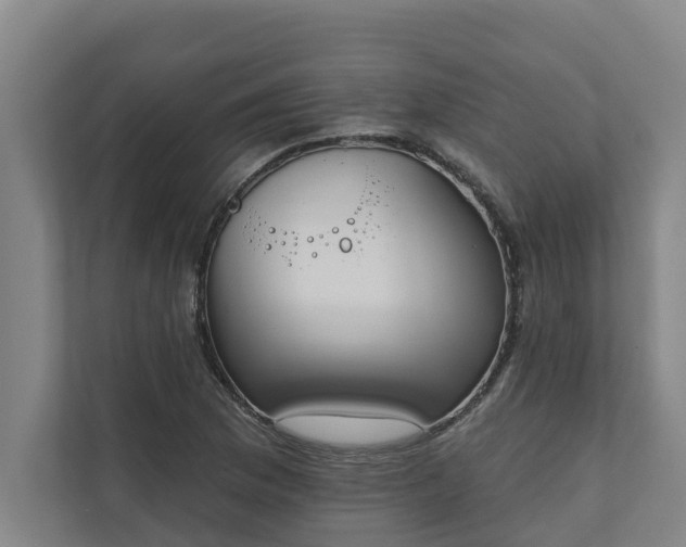 X0000110761169200906221116