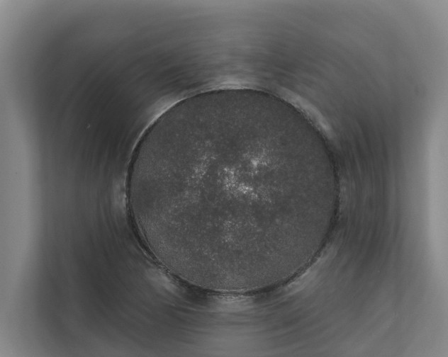 X0000110761170200906221116
