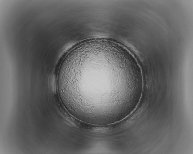 X0000110761171200906221116