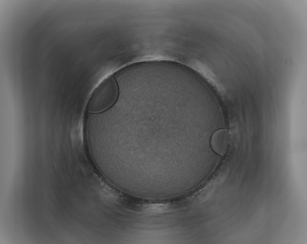 X0000110761173200906221116